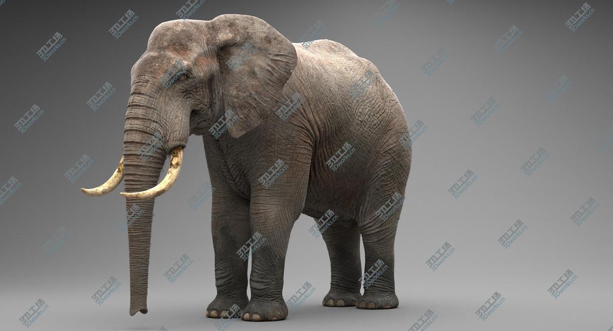 images/goods_img/20210113/Elephant Animated/4.jpg